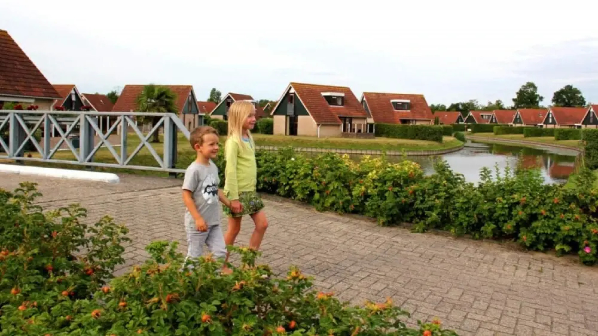 HVZ Orchis Comfort 6p