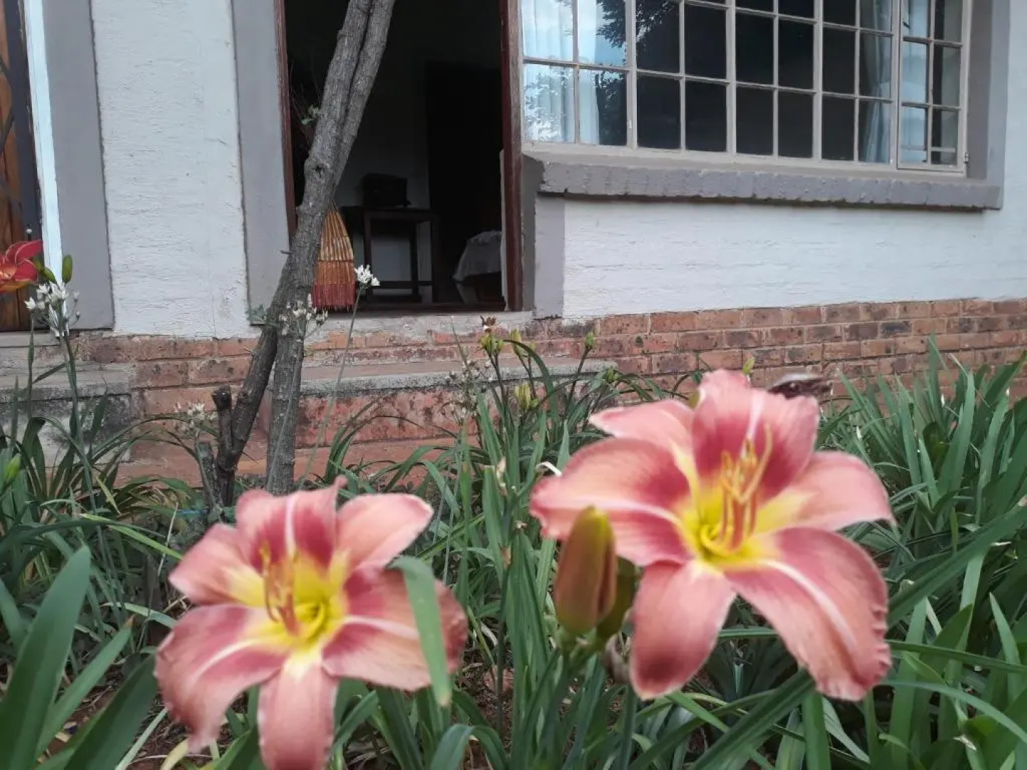 African Silhouette Guesthouse