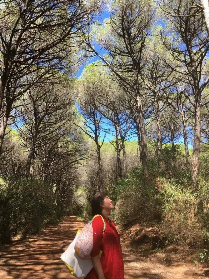 Fattoria di Statiano