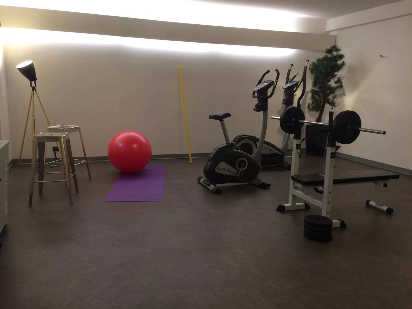 Best Western Plus Au Cheval Blanc Mulhouse Nord