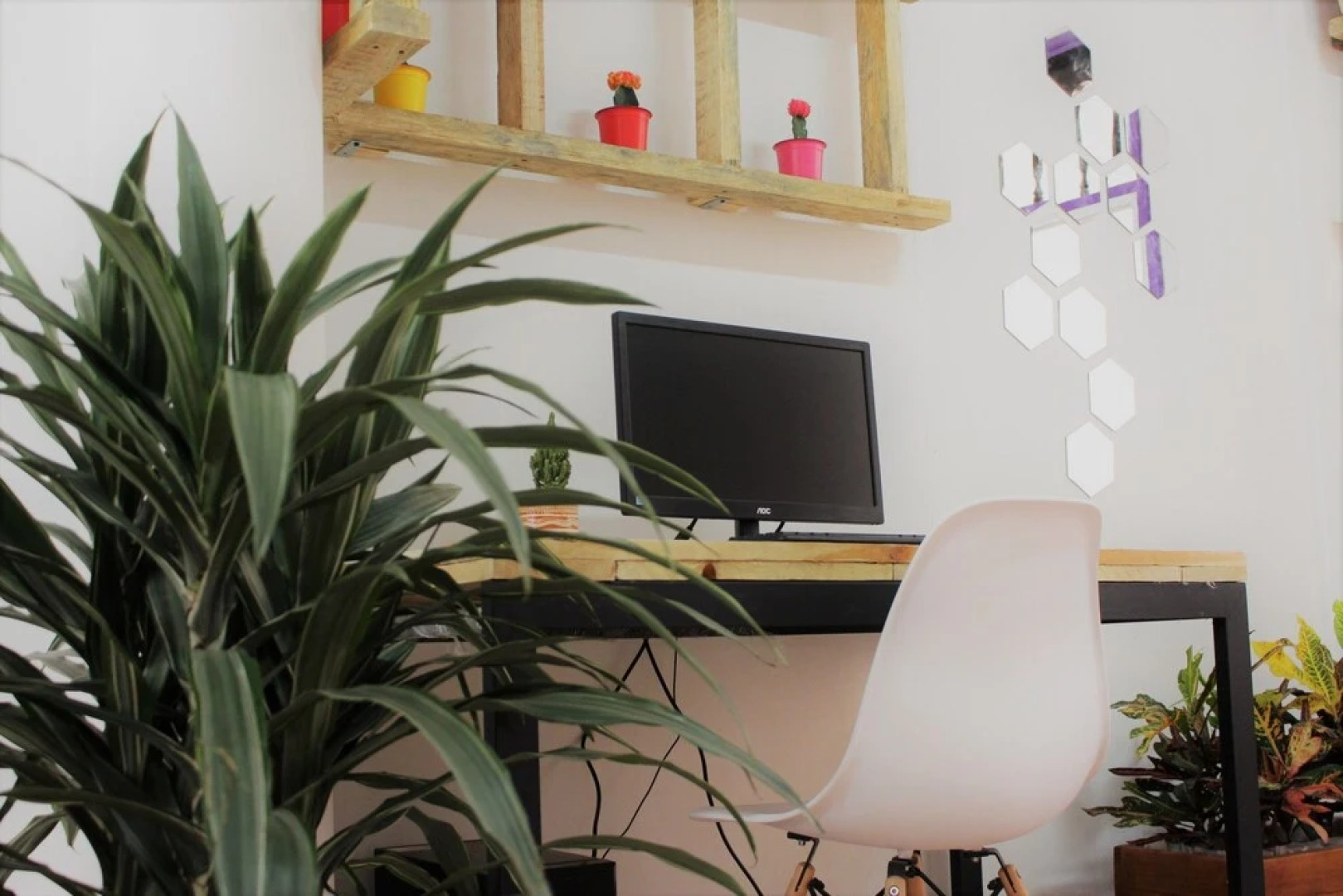 Casa Profunda Hostel