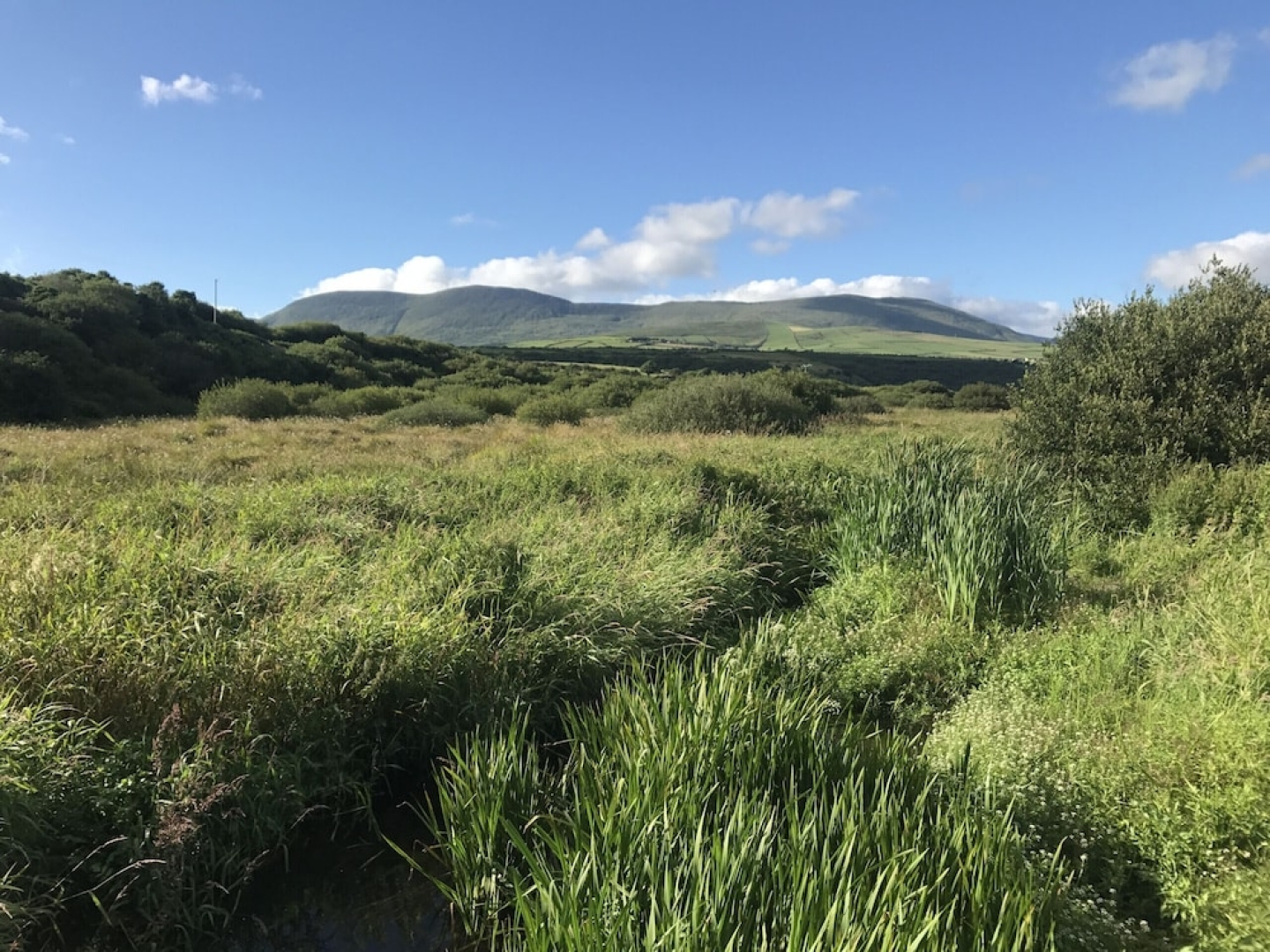 Lispole Holiday Cottages