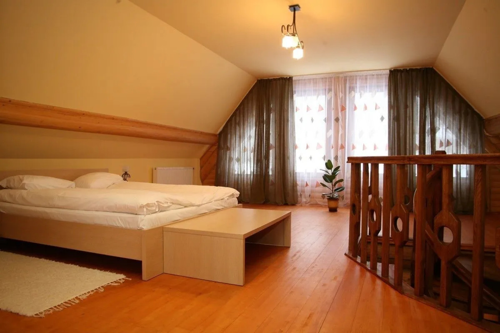 Червона Рута