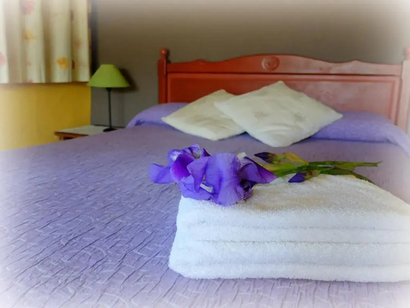 Casa Rural Mas Violella