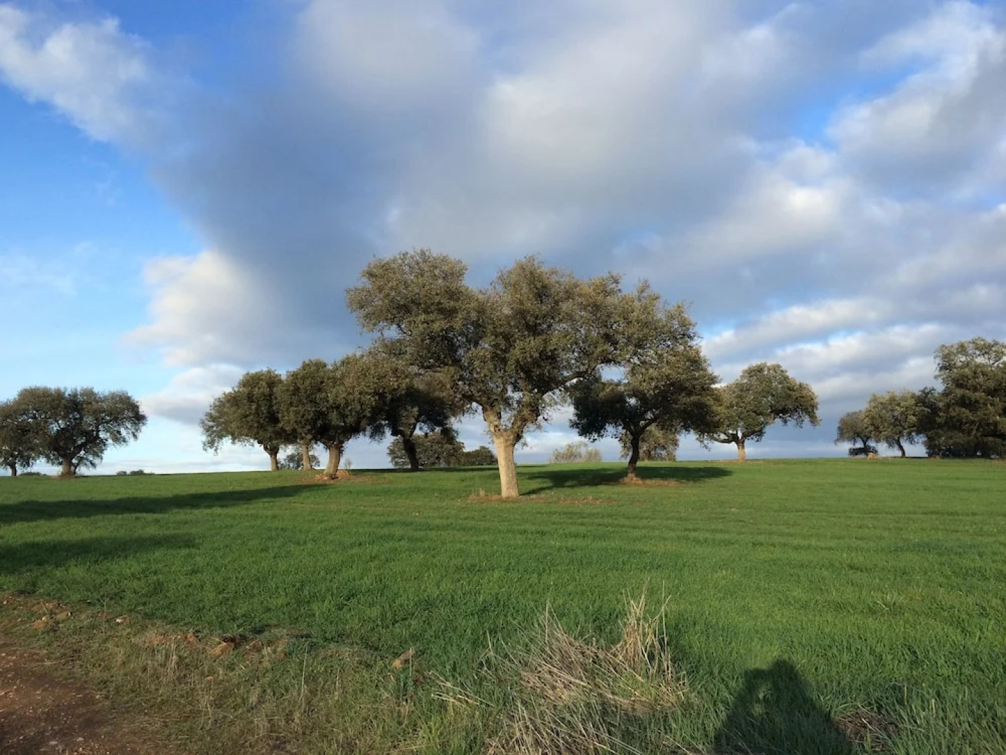 Rural Pedroches Casa Los Mineros