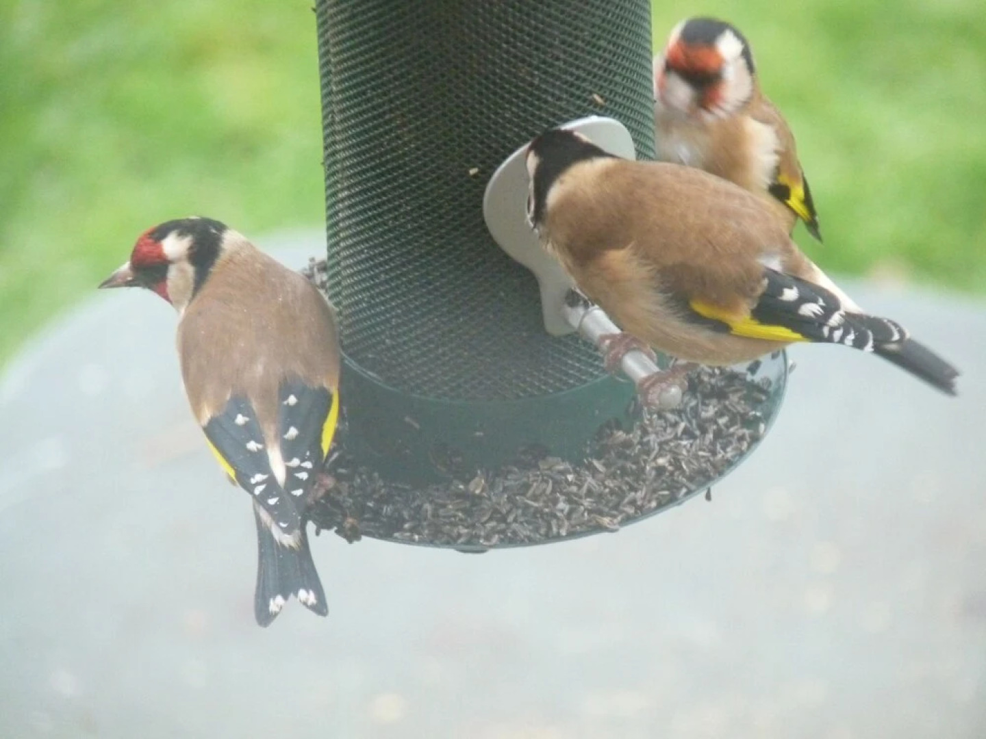 Gilberts End Farm - B&B and Reiki Retreat