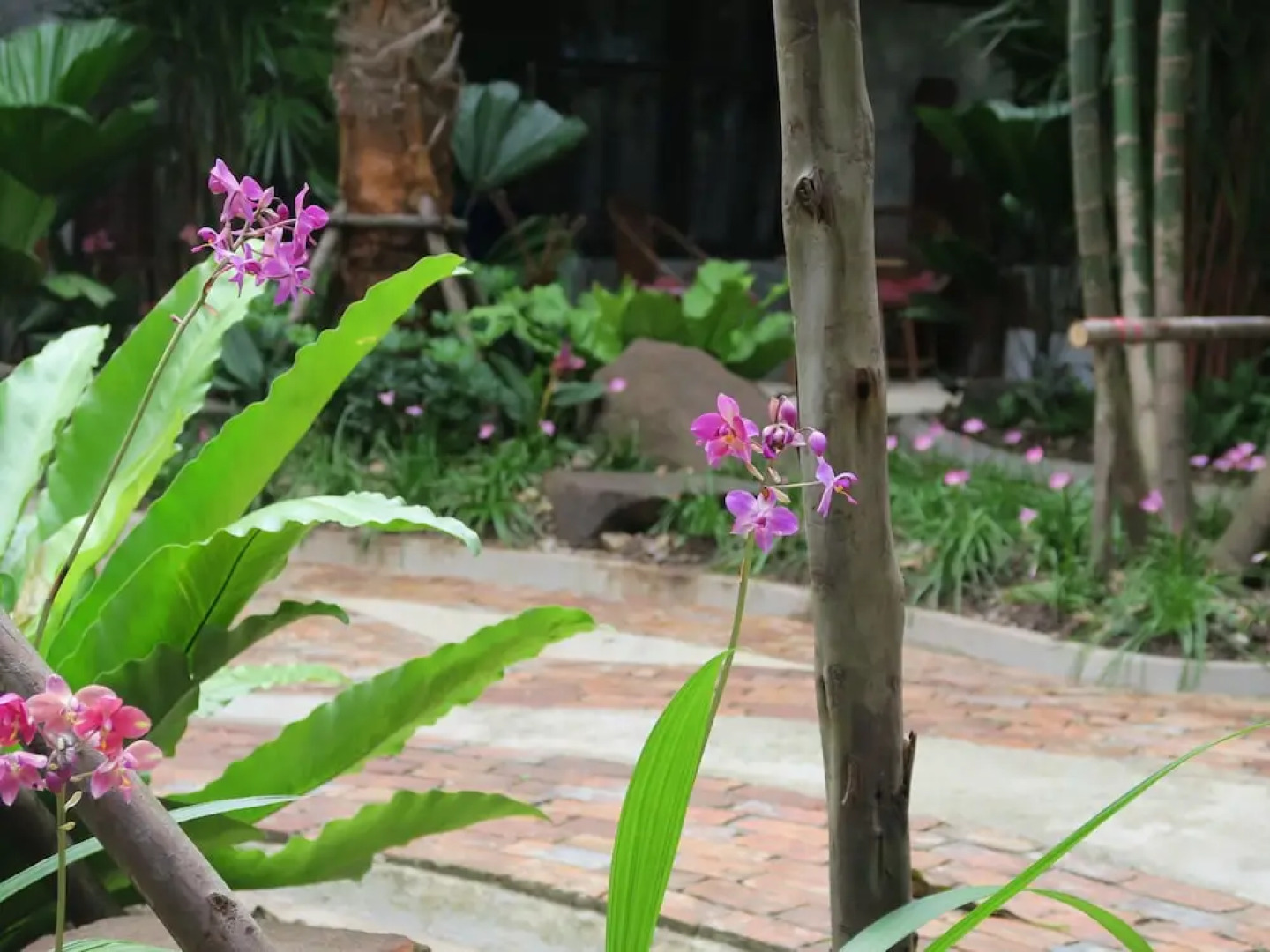 The Picturebook Guesthouse