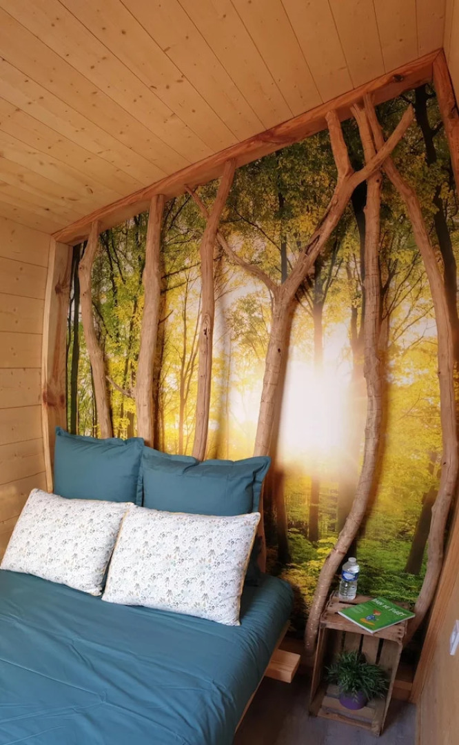 Kabanéo - Gîte et Sauna- Samois sur Seine - Forêt de Fontainebleau