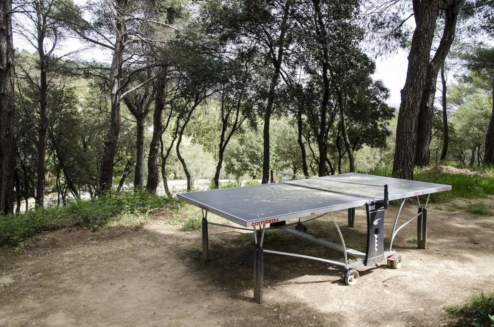 L’Éléphant de Vaugines