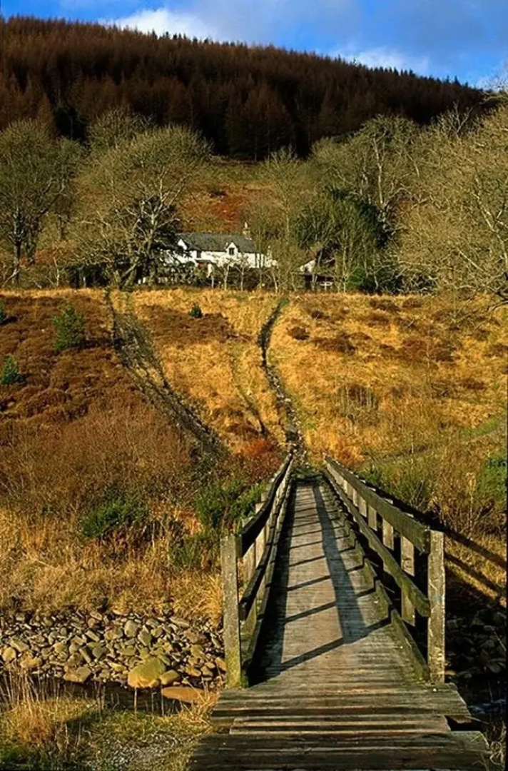 The Hall Bunkhouse