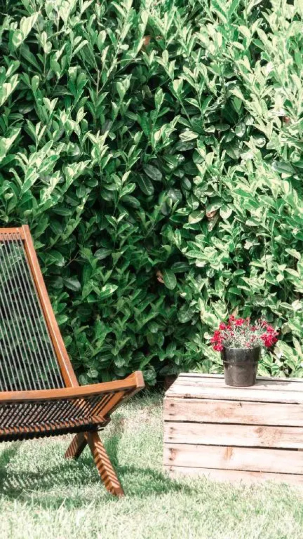 Buitenlede 7 - Suite M