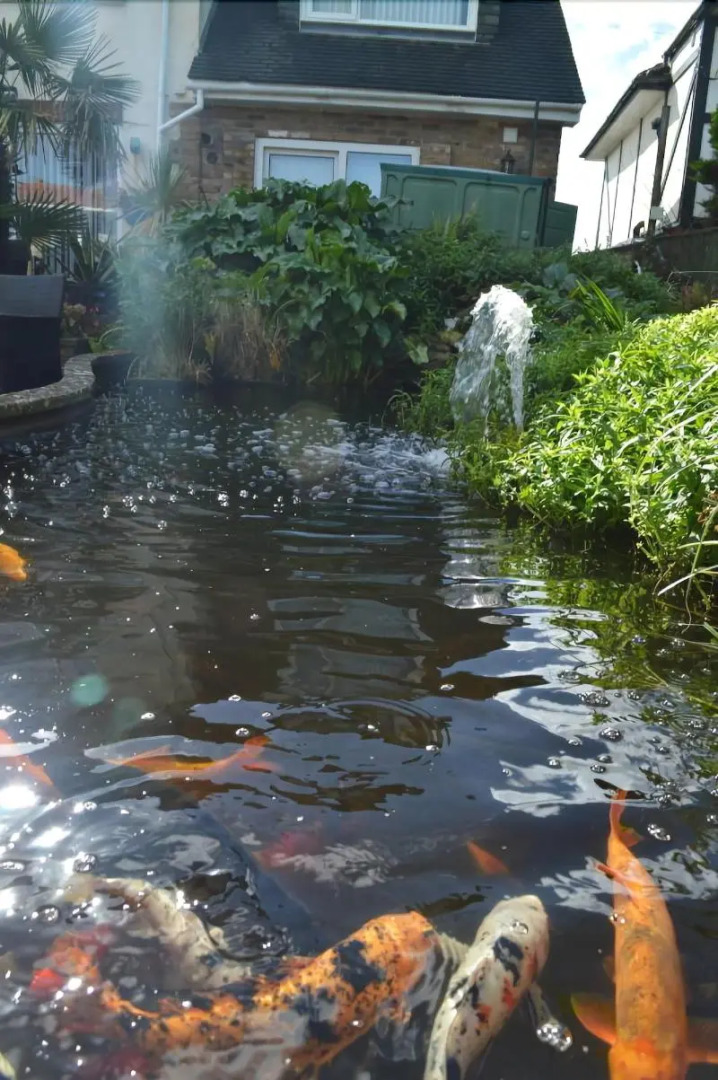 Watersedge Guest House