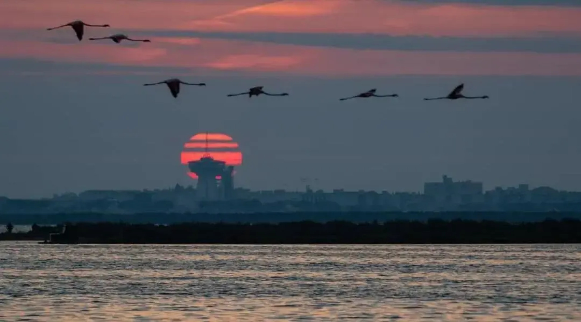 Peniche Alphonsia Maria