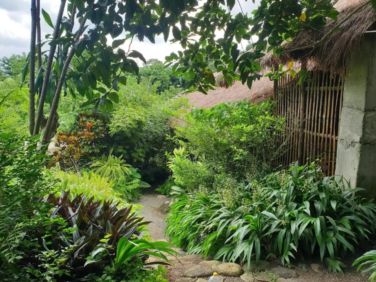 Maka-Kalinaw 5 Wabi sabi Room, Forest Deck View