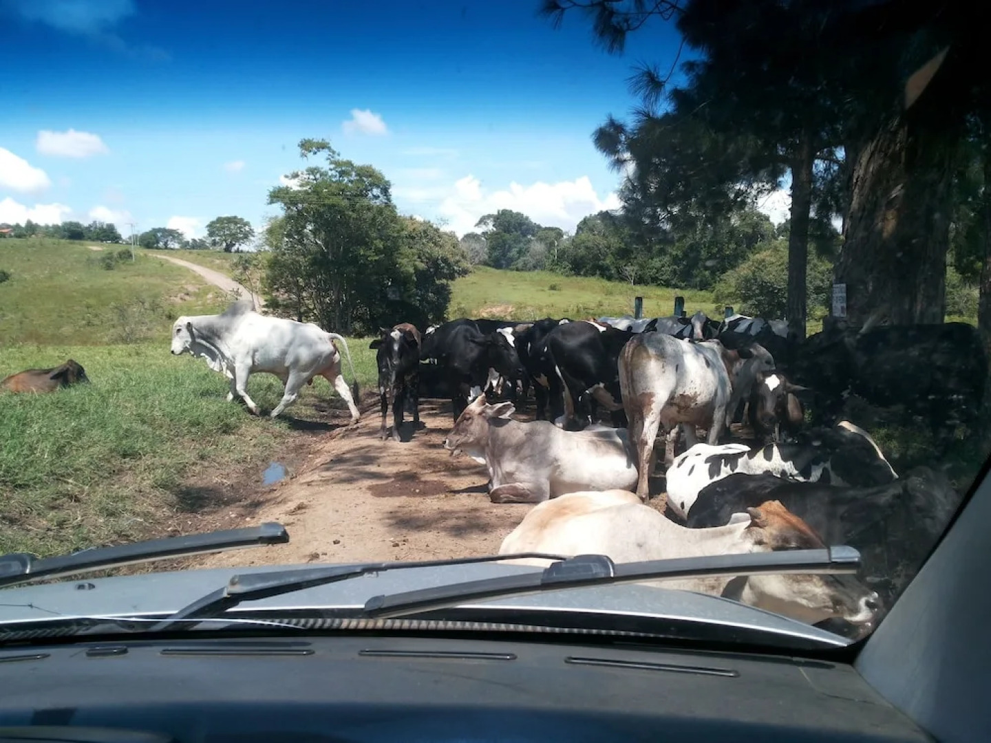 Hotel Fazenda Estancia Torre De Pedra