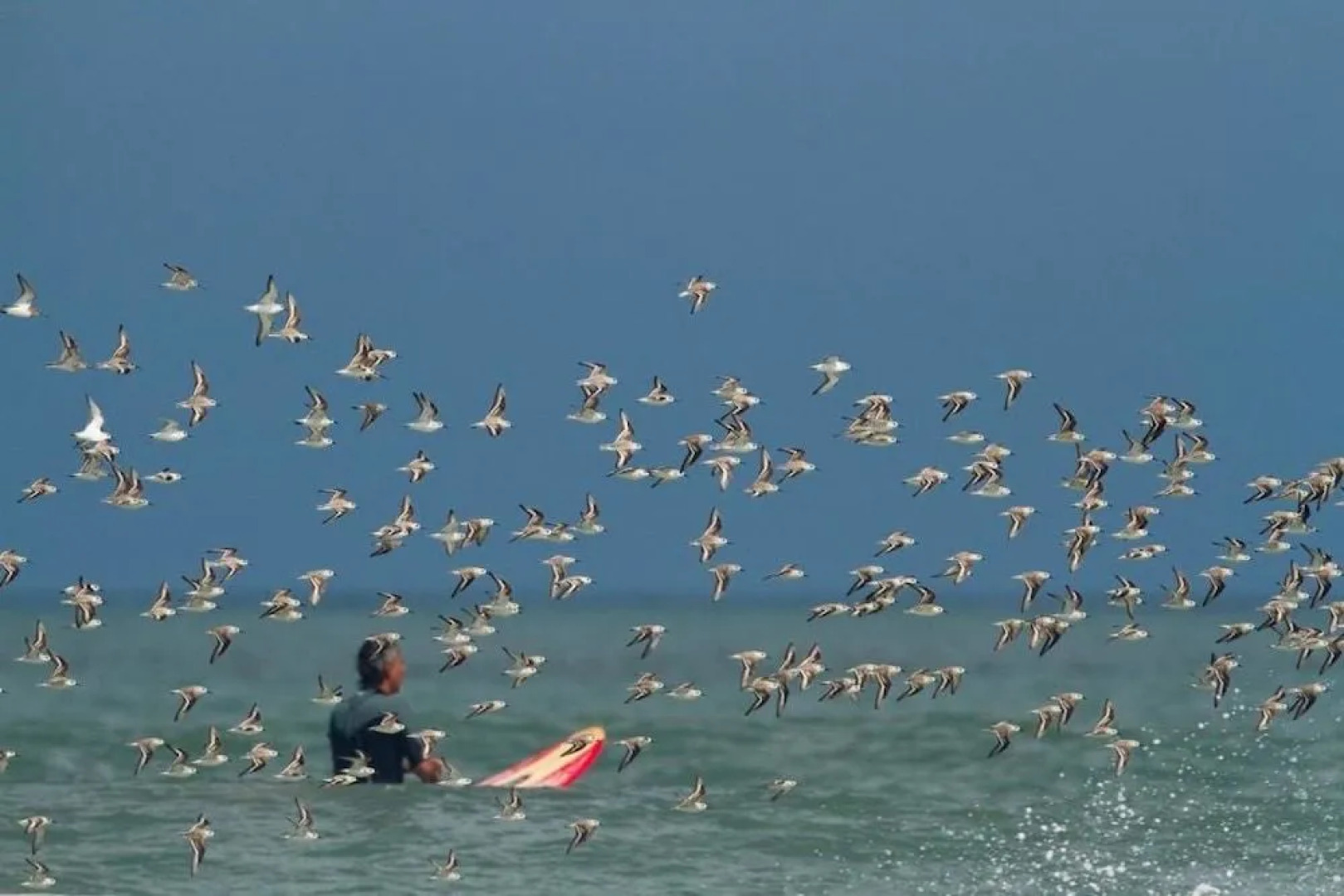 Ocean Condo 3bdrm 103