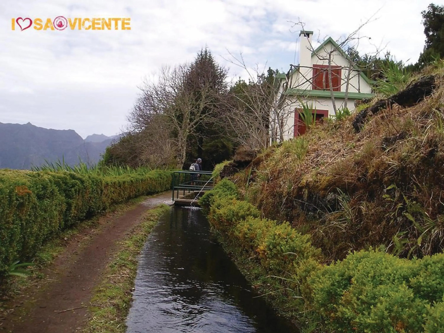 Pereira Place - The Dream