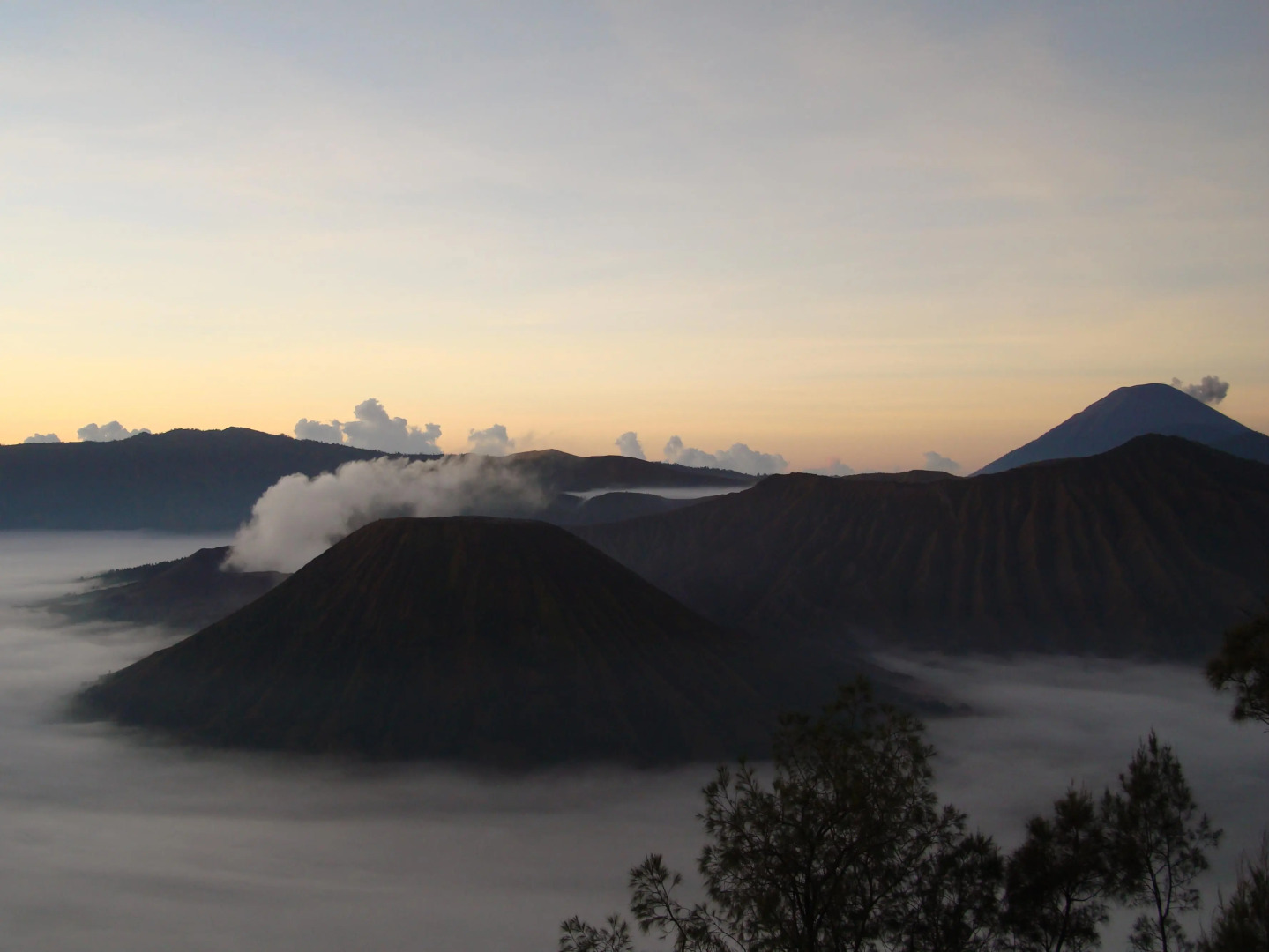 Yog Bromo Homestay