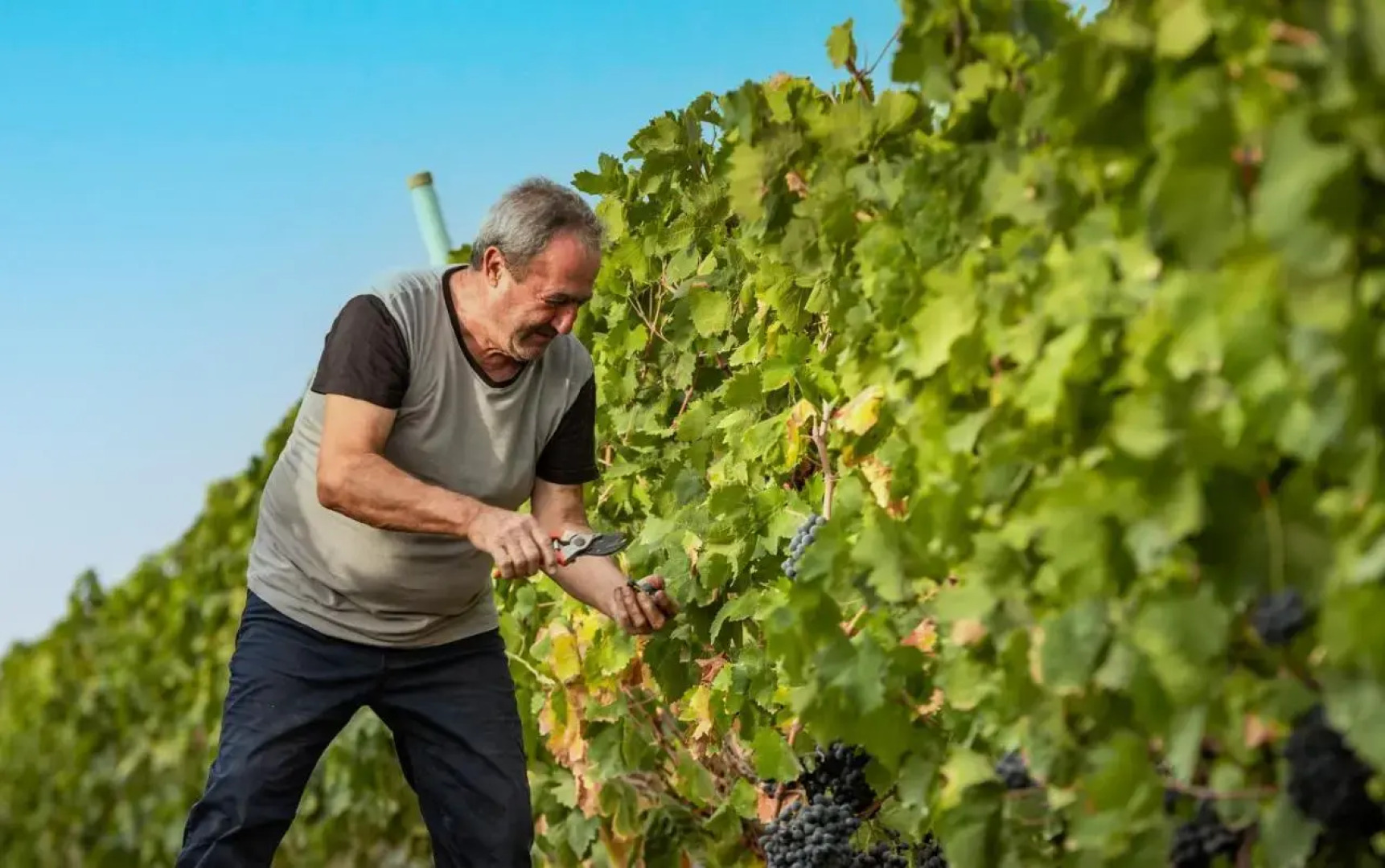 Agriturismo S'Incant'e Sinis