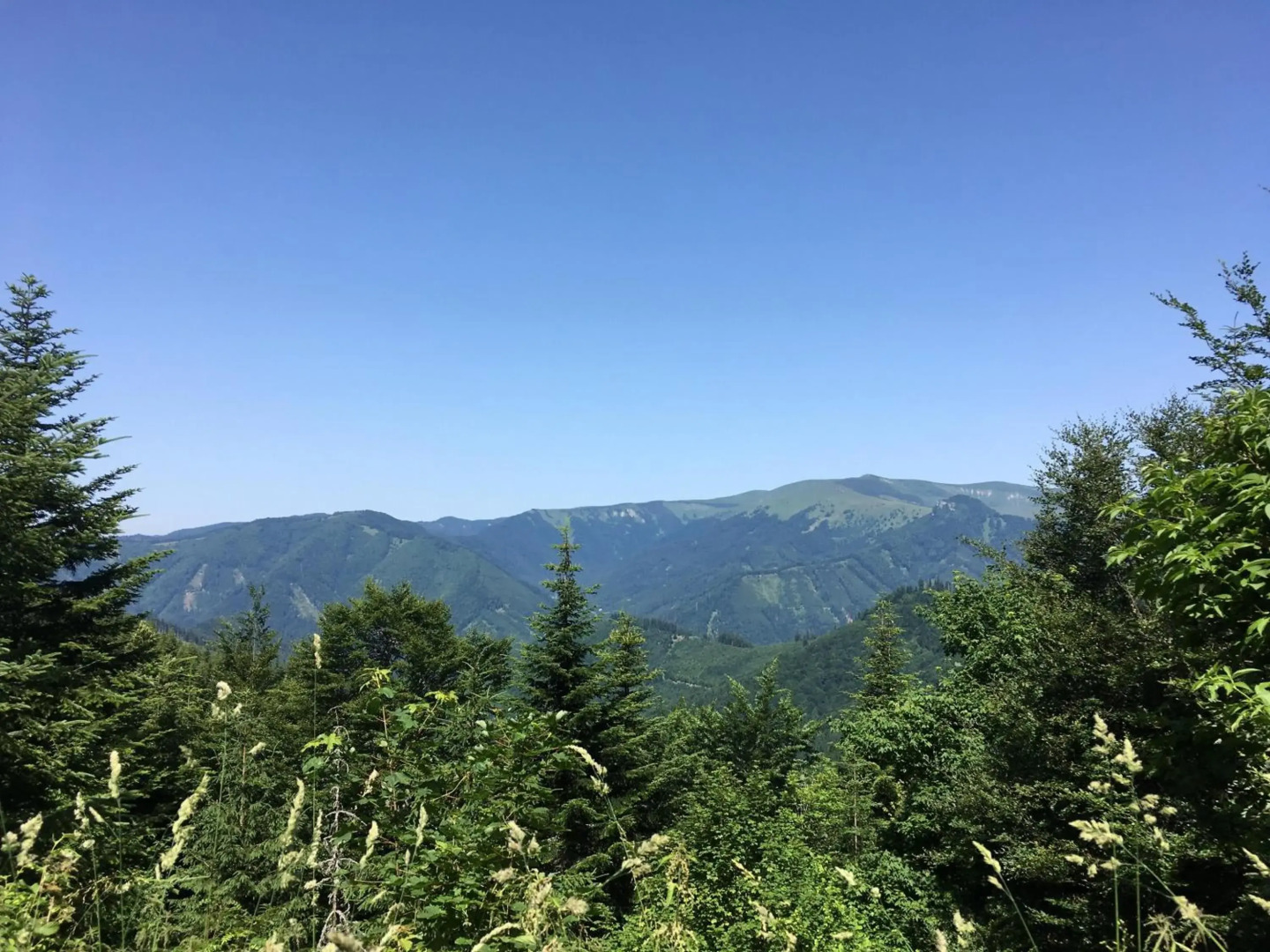 Apartmánový dom Spiežovec - Ap. 4