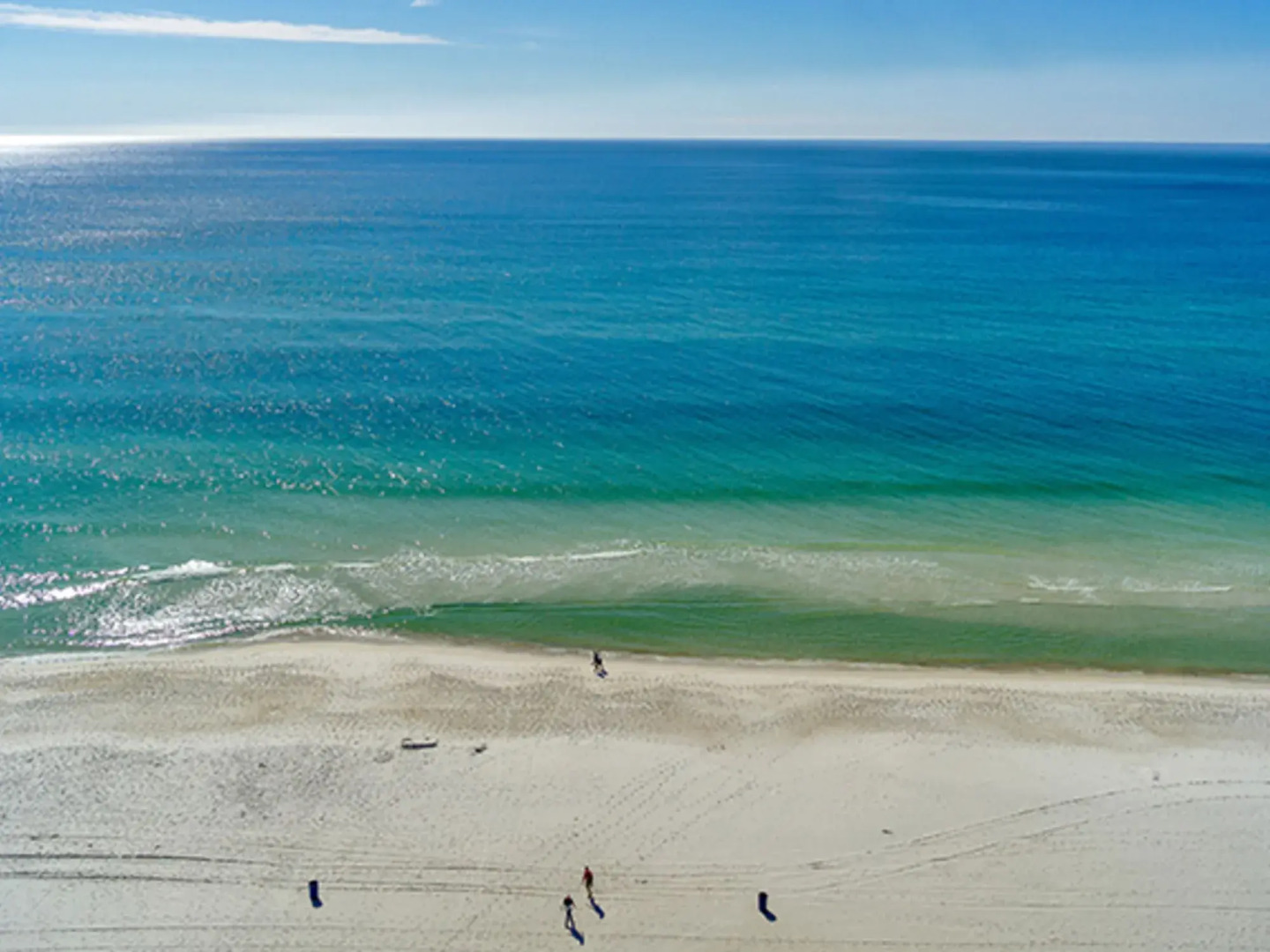 Twin Palms 1402 287431 by RedAwning