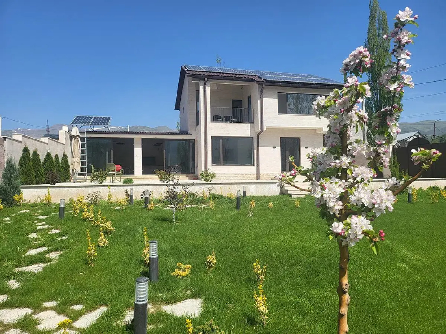 Dili Dream (Дили Дрим)