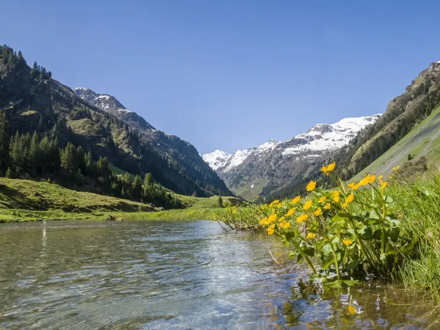 Spacious Holiday Home in Tschagguns Near Ski Area