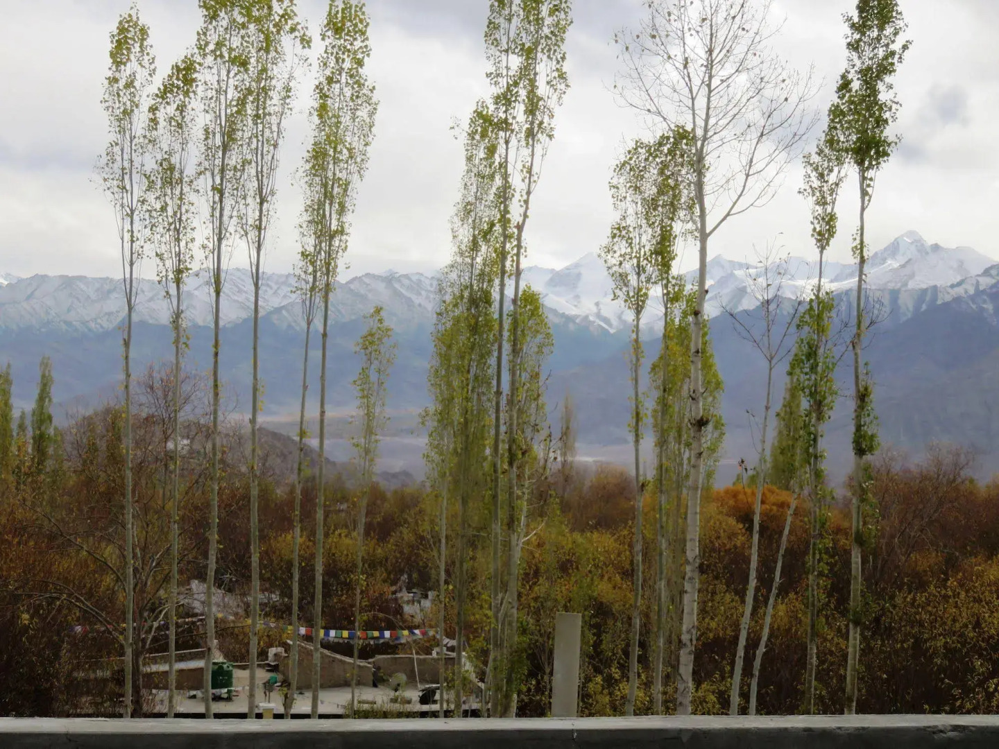 Rahela Guest House & Home Stay