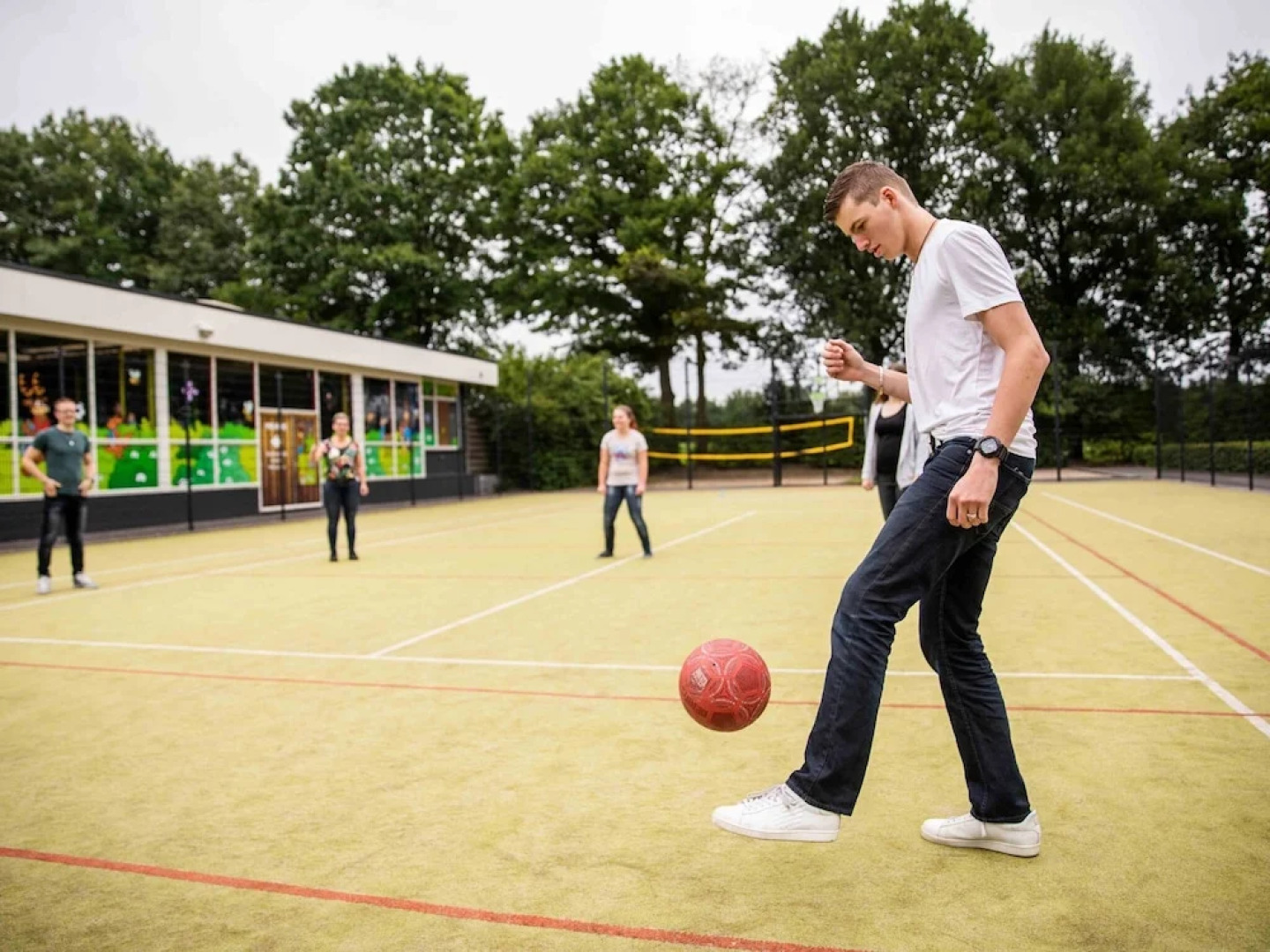 Comfortable Chalet in the Middle of De Veluwe