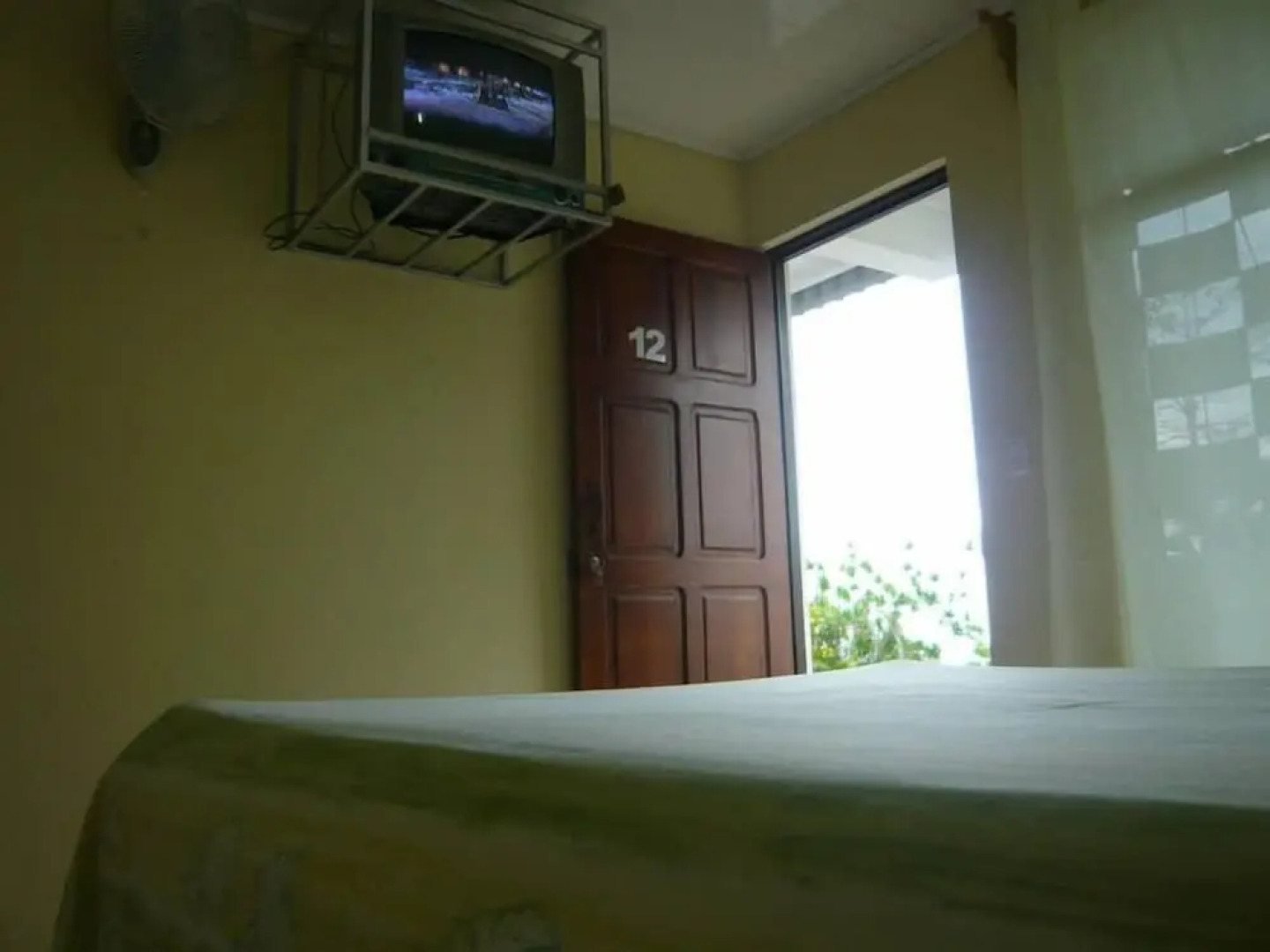 Hotel Brisas Del Volcán Platanar