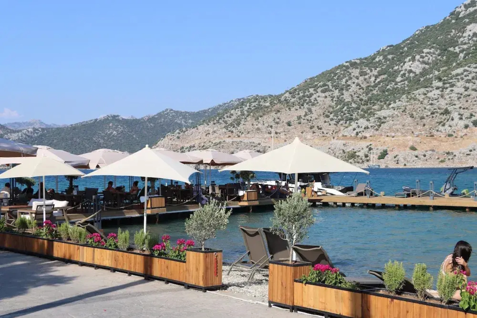 Palmetto Resort Hotel