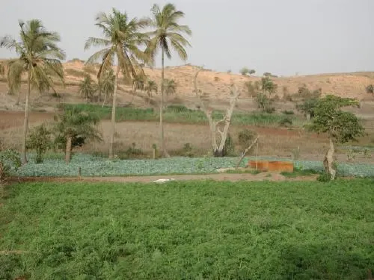 Camp Du Désert – Esprit d’Afrique