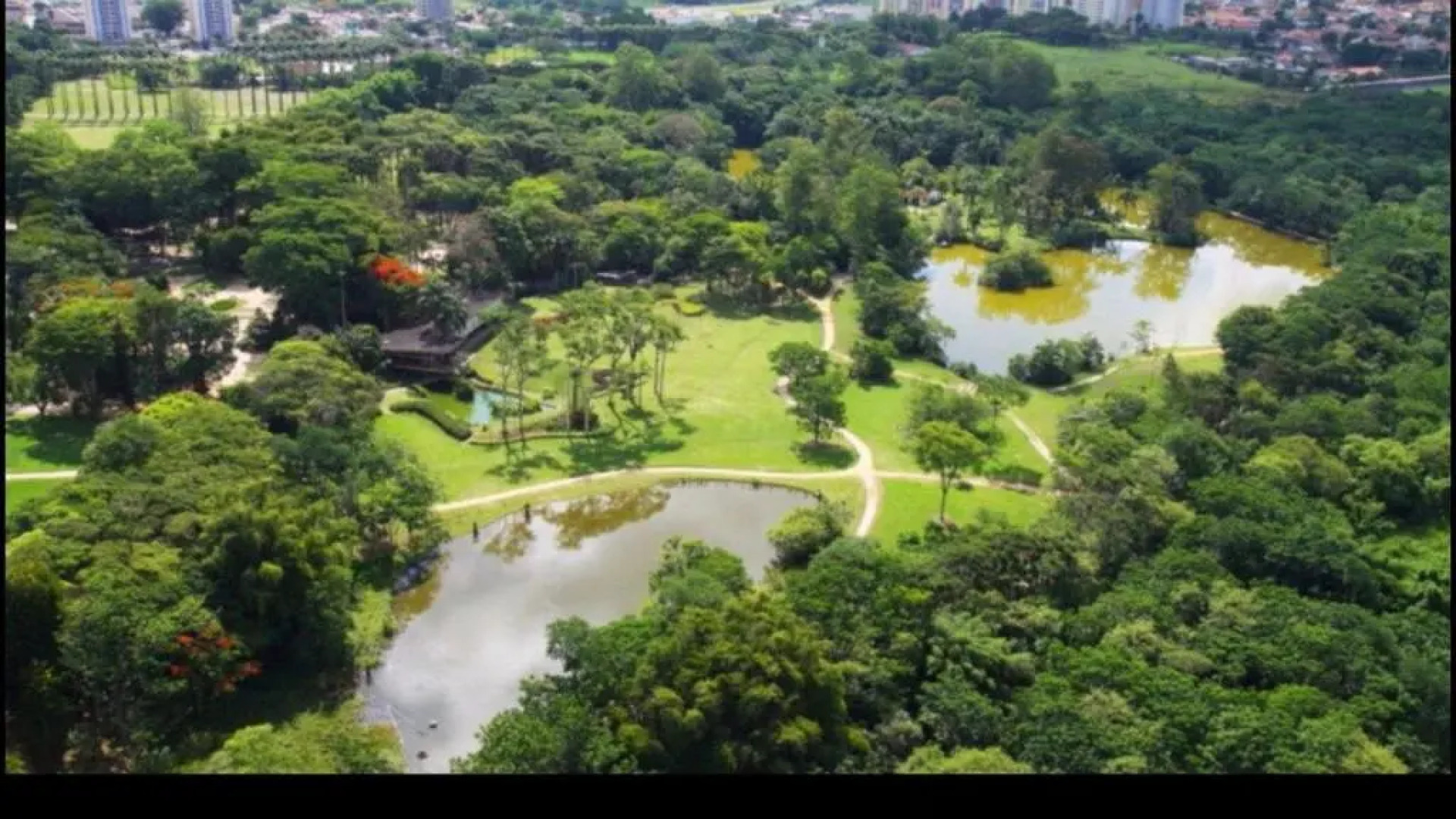 Charmoso Apartamento no Bairro Jardim