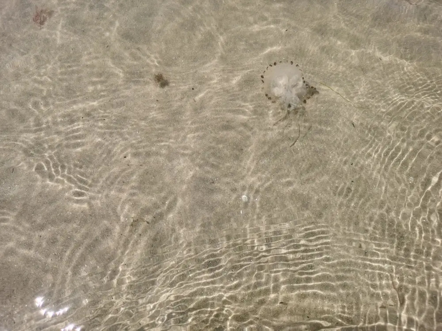 Snowdonia Holiday Sea Beach and Mountains View
