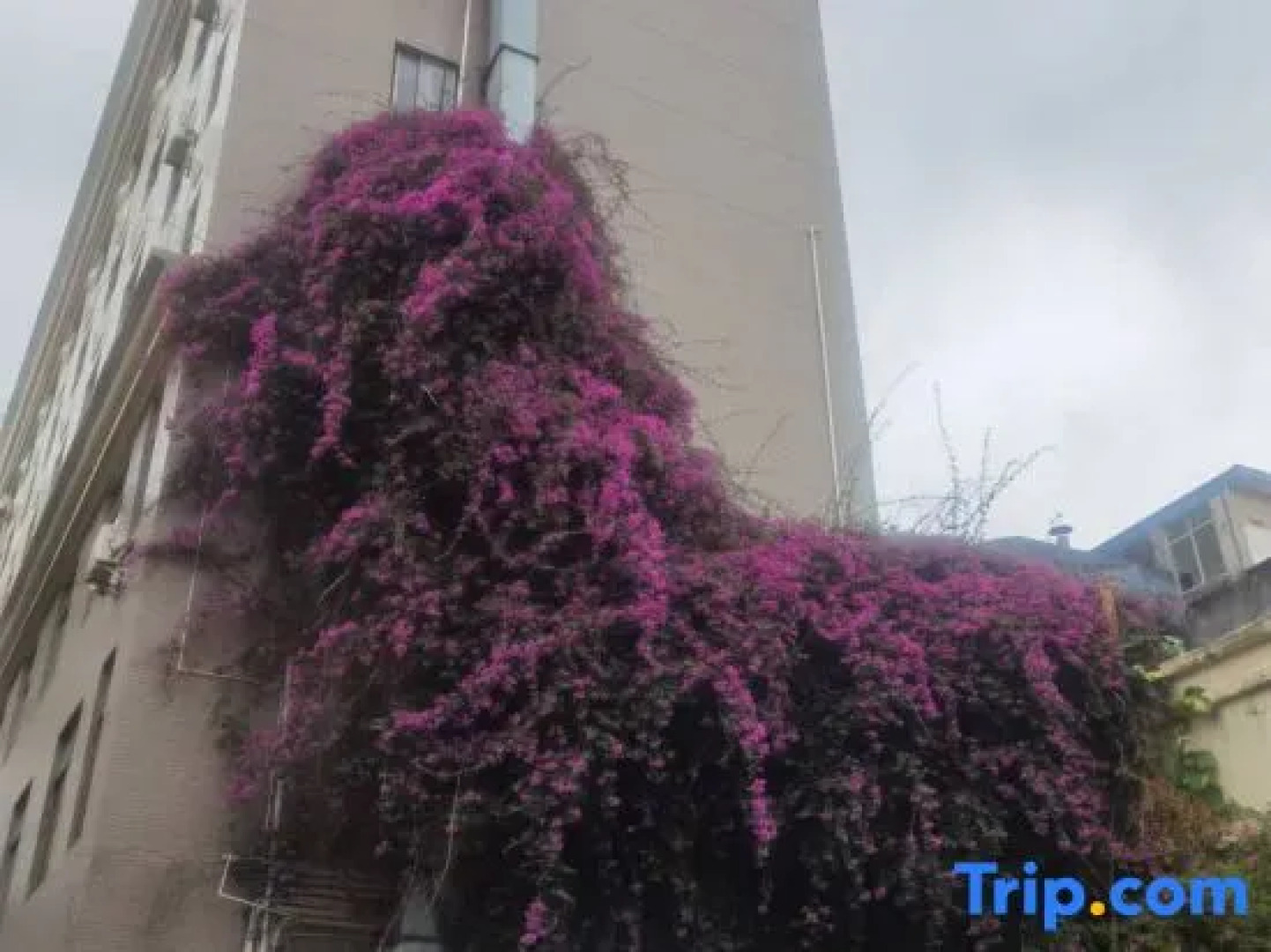 Jtour Inn Yangjiang Municipal Government