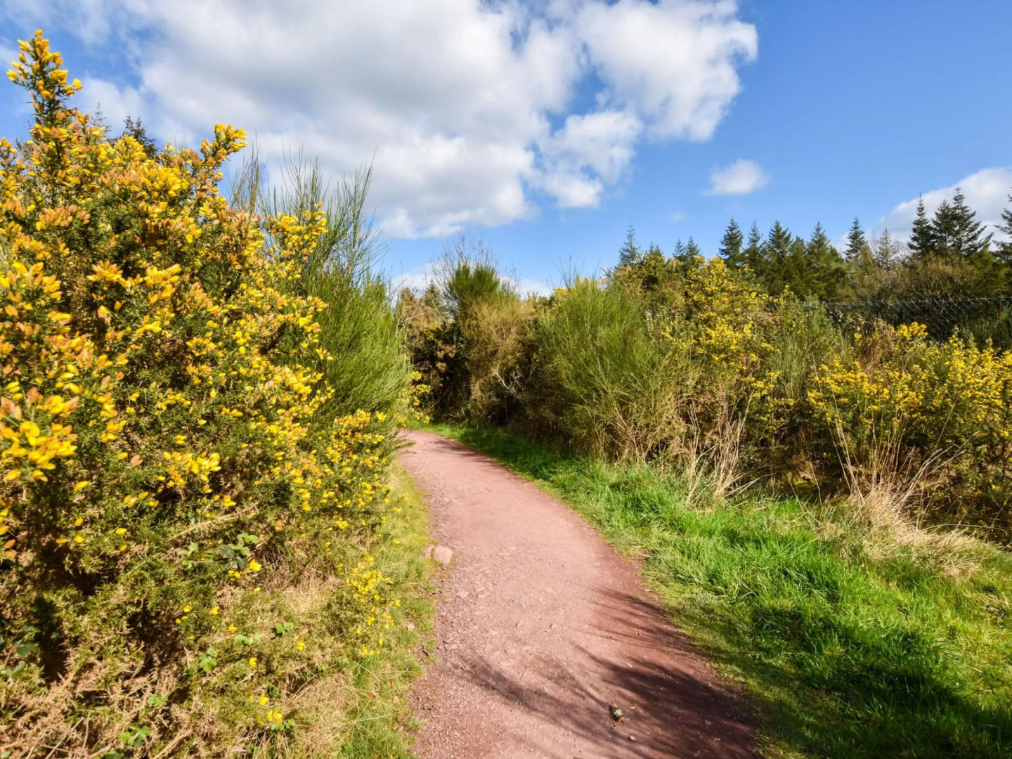 Holiday Home With Pretty Terrace and Garden, Near the Paimpont Forest