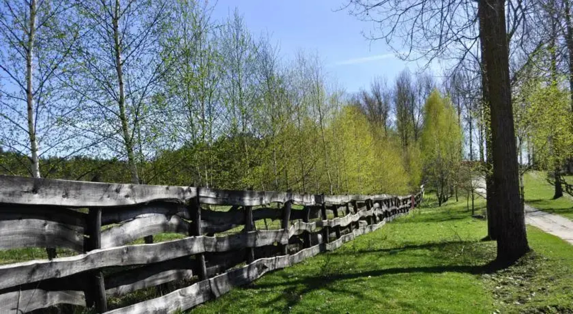 Rezerwat Smaków Leśne Wrota