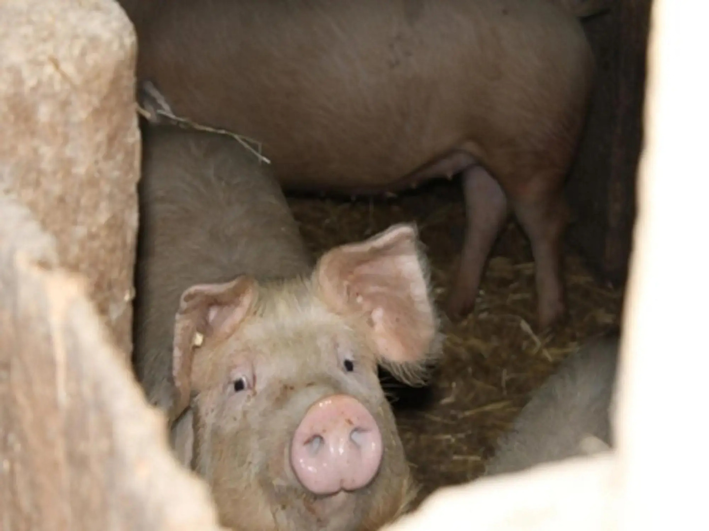 Urlaub im Herrenholz