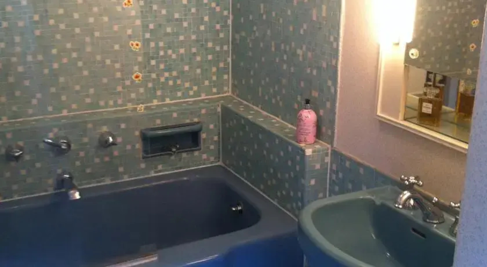 Landgoed Vogelenzang