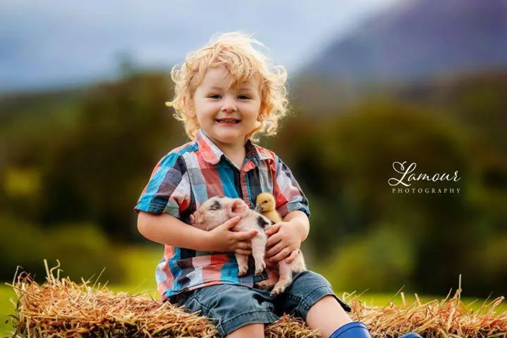 Blackwattle Farm B&B