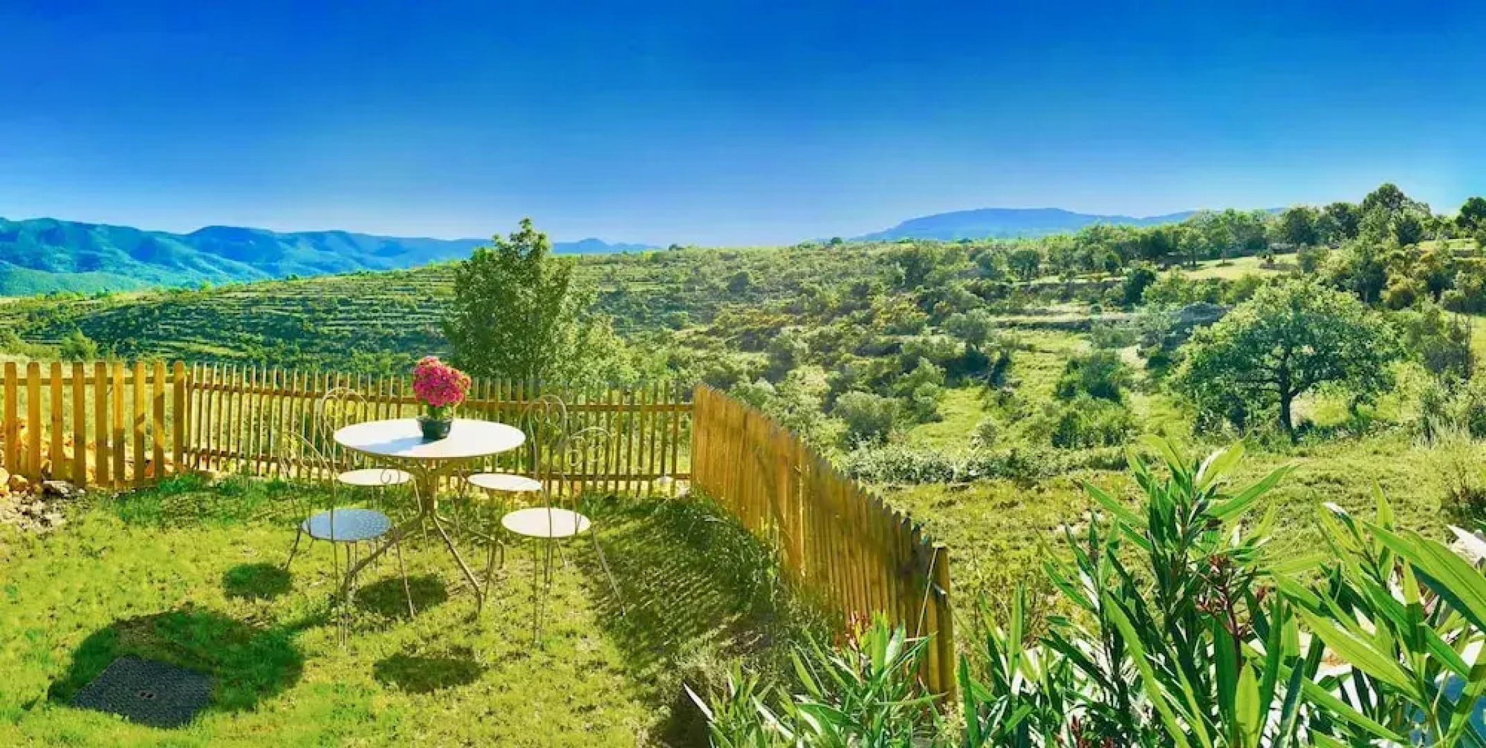 Wild Boar Mountain - France