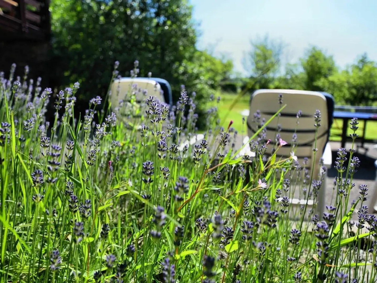 Attractive Chalet In Saint Hubert With Terrace And Garden