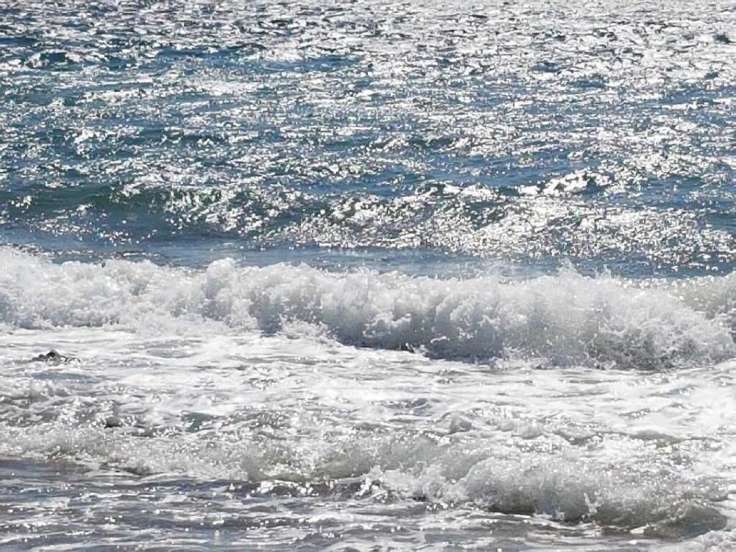 Apartments Anita Punta Skala