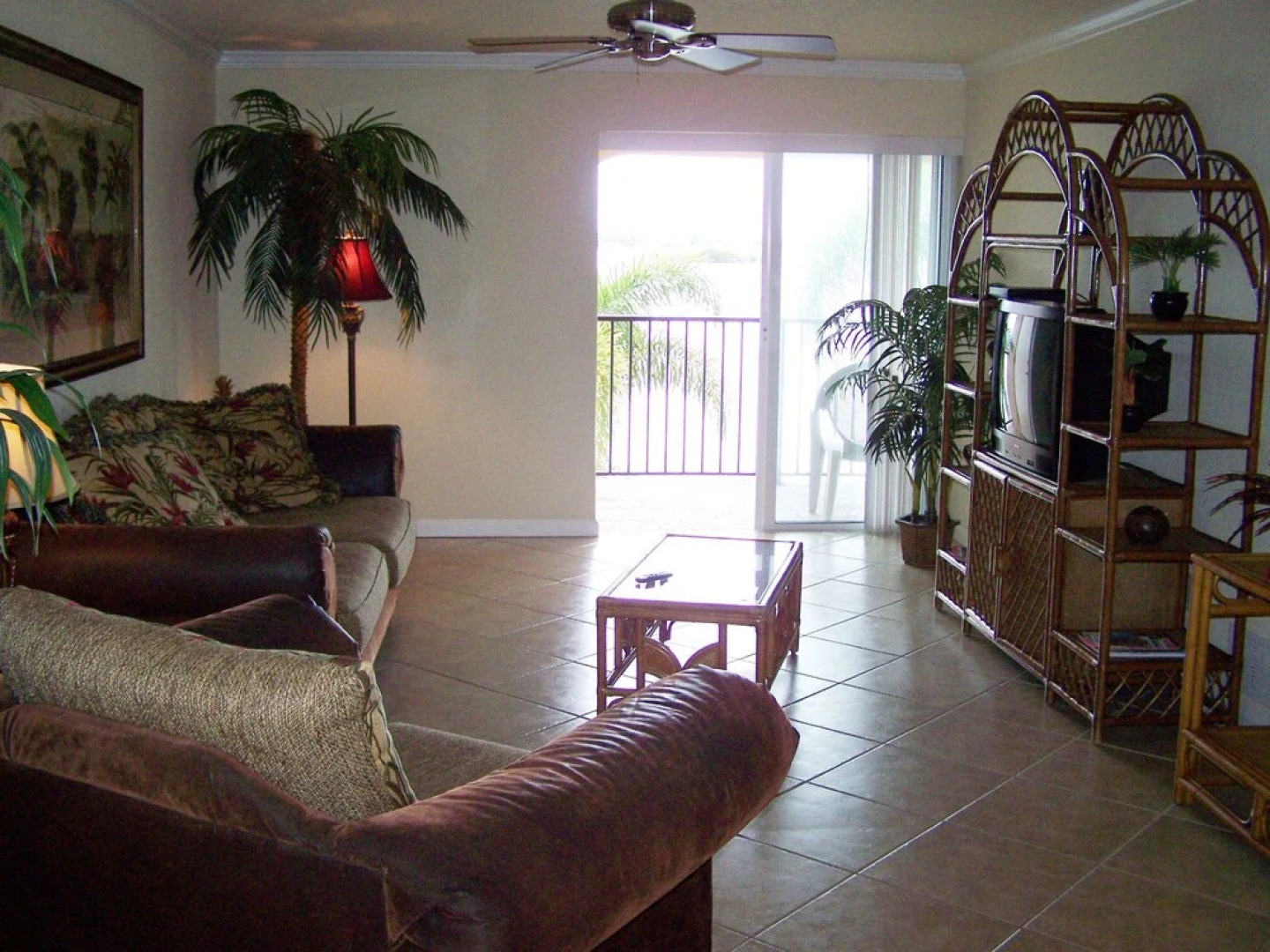 Coconut Villas of Dunedin