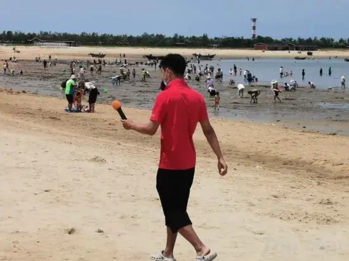 Victoria Seaview Apartment