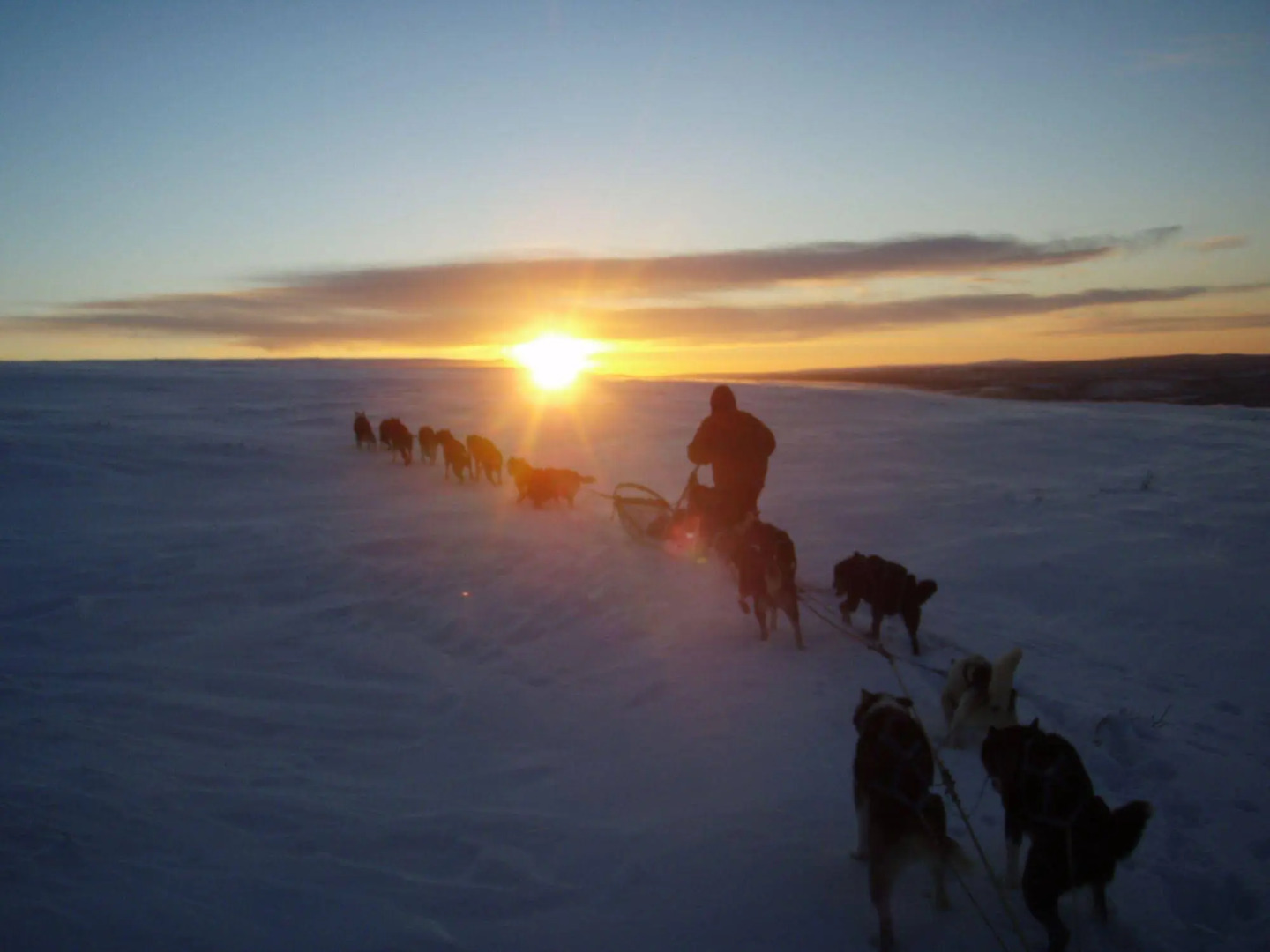Engholm Husky Design Lodge