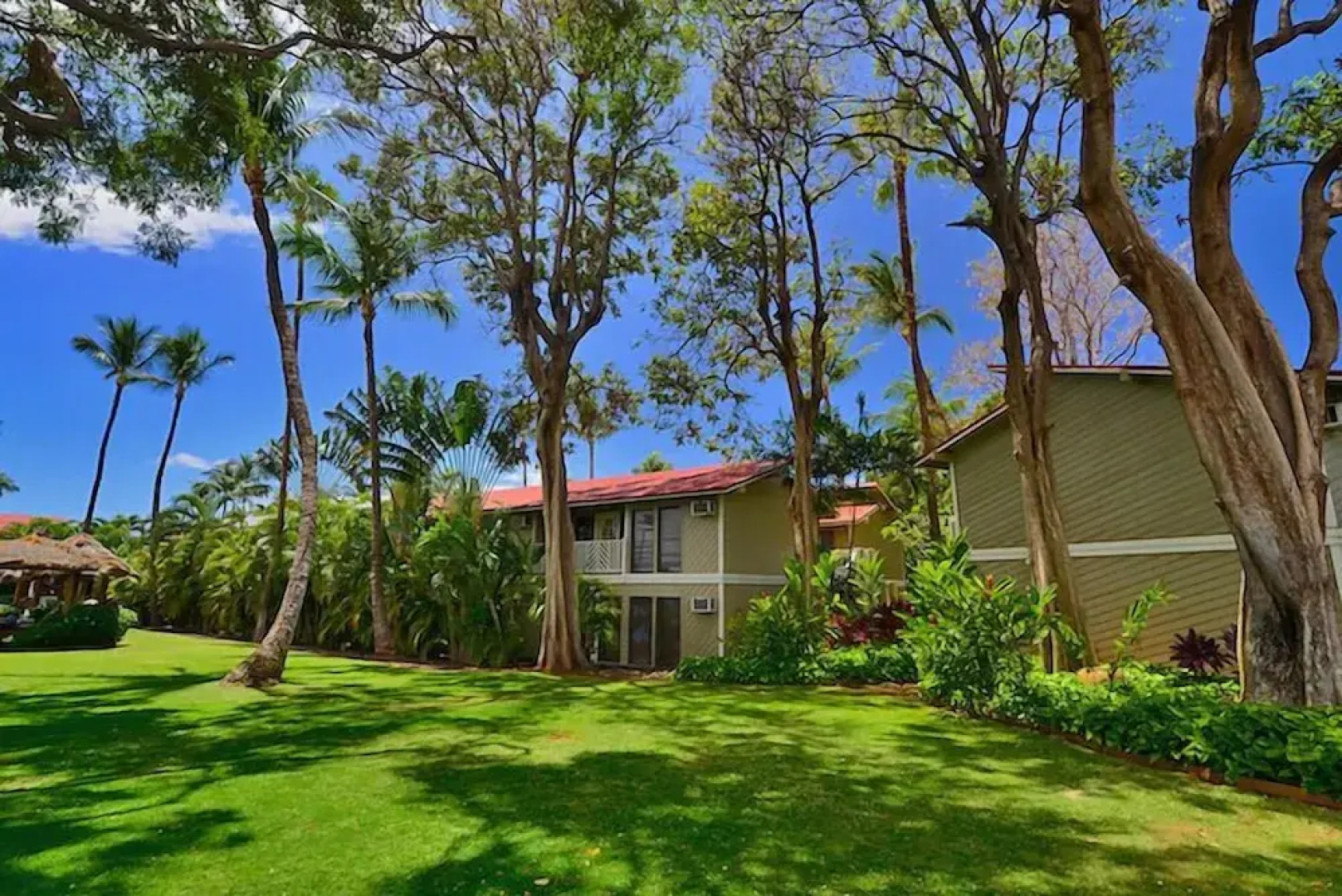 Aina Nalu I109 by RedAwning