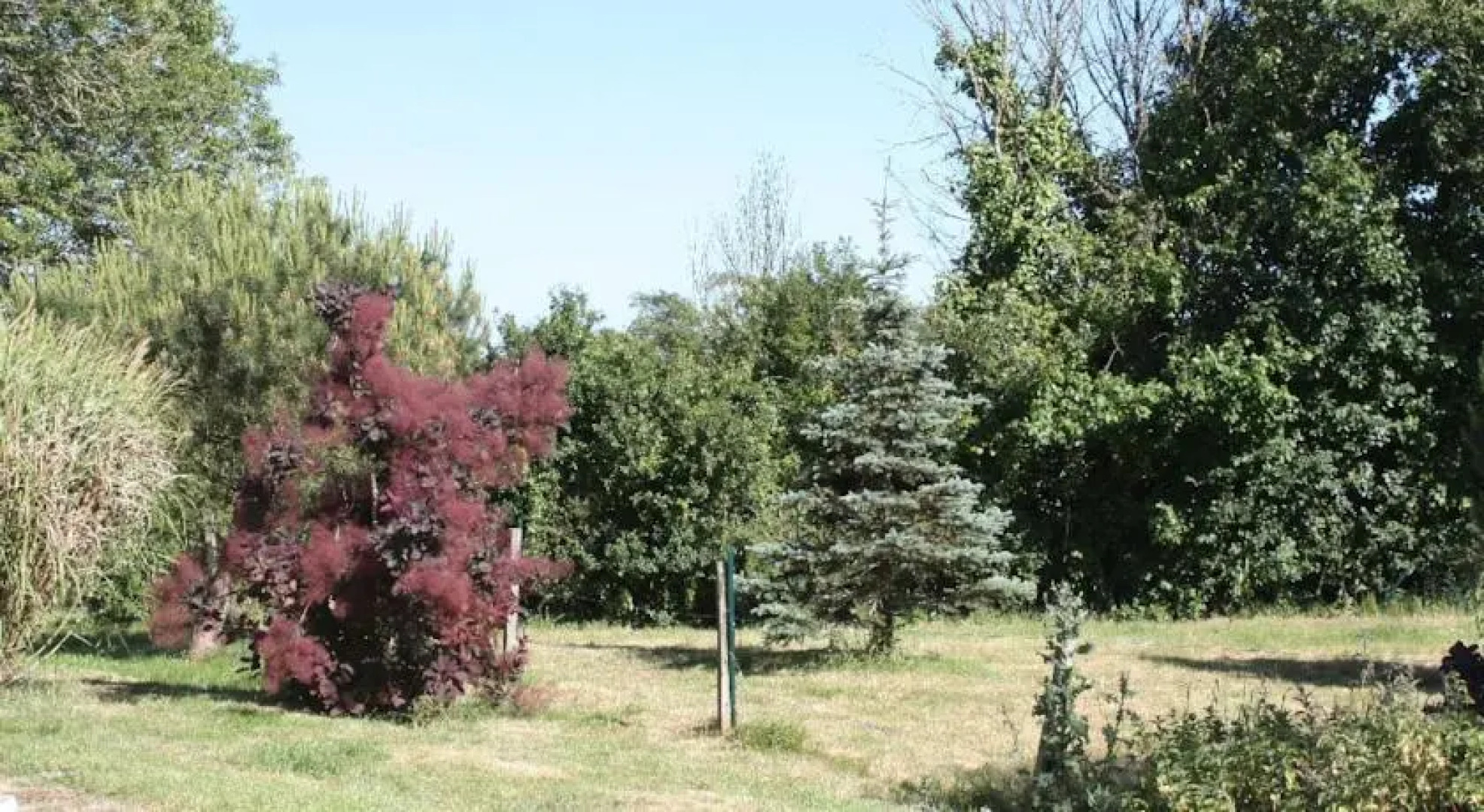 Gites du Heron Cendre