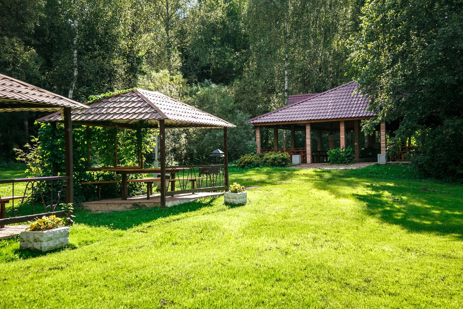 Отель Лесные Дали