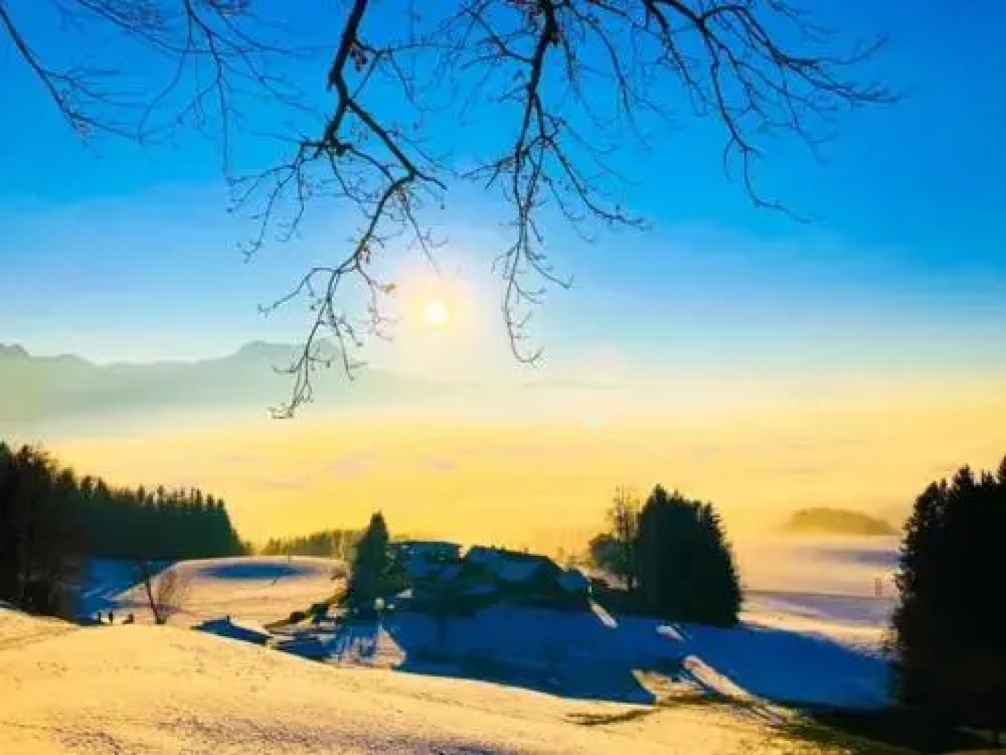 Gesundheitshof Daxinger Bio